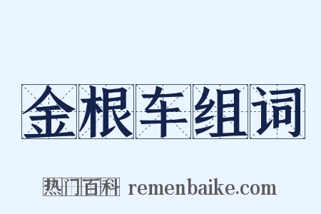 金根车组词是什么意思的图片